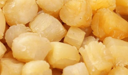 瑶柱是什么东西,探寻海味珍品背后的故事